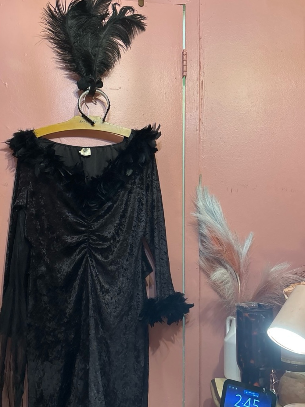 Disguise Black Feather-Trim Velvet Long Sleeve Dress